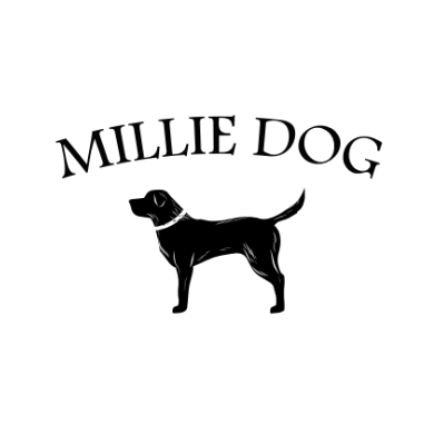Millie_Dog