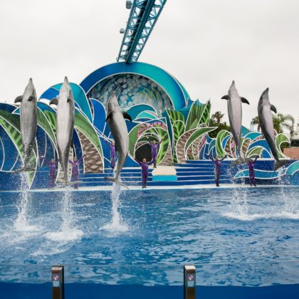 sea-world